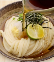 純生讃岐うどん（10人前、つゆ付）