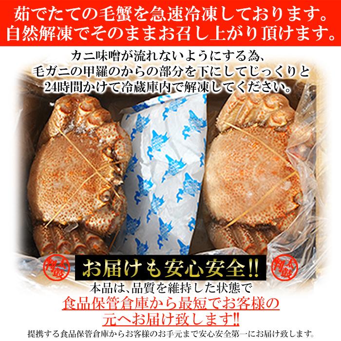 のし対応可 毛がに 400g×2尾 蟹 ボイル 冷凍 産地直送 北海道 お歳暮 お中元 熨斗 ギフト 御礼 御祝 プレゼント 贈答品 お取り寄せ ご褒美 送料無料