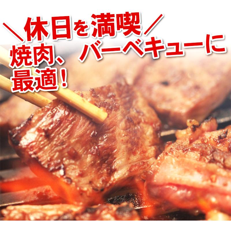 焼肉 BBQ セット 3.2kg 12人前〜15人前 食材 肉 訳あり 送料無 不揃い 牛肉 豚肉 鶏肉 メガ盛り アウトドア キャンプ バーベキュー