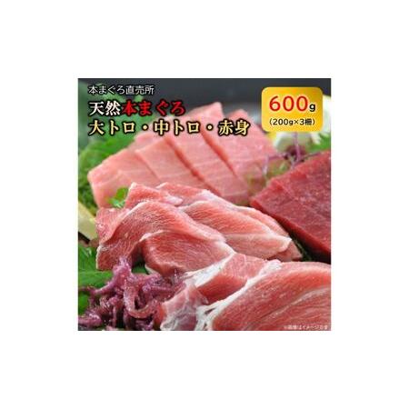 ふるさと納税 天然 本まぐろ 大トロ・中トロ・赤身（約200ｇ×3柵）600ｇ 冷凍 マグロ まぐろ 鮪 本マグロ 刺身 寿司 柵 海鮮 魚介 魚 .. 神奈川県横須賀市