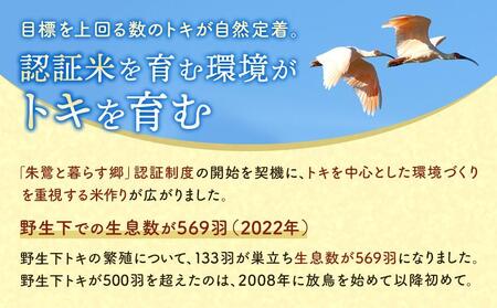 佐渡産コシヒカリ・朱鷺と暮らす郷10kg（5kg×2）