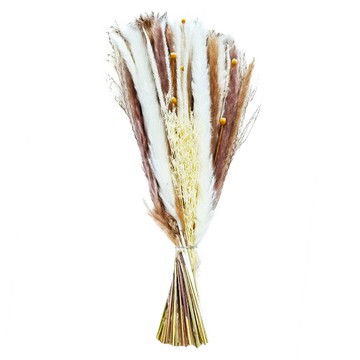 KUIBAO 快豹生活 Goyo 乾燥花  棕色  220g