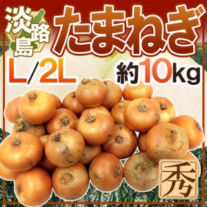 兵庫県 淡路島産 ”たまねぎ” 秀品 L 2L 約10kg 送料無料