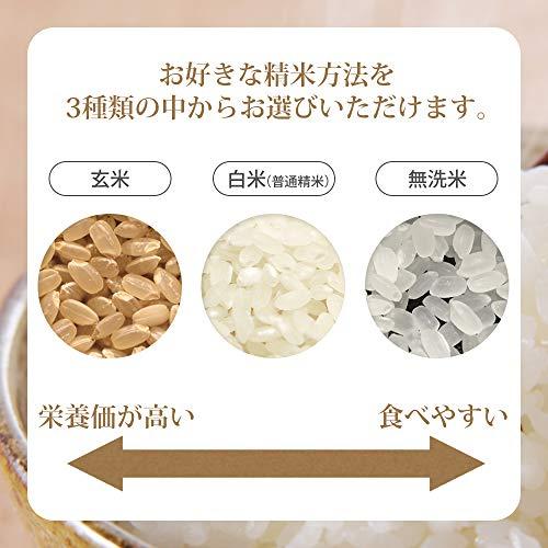  無農薬 コシヒカリ 20kg (5kgx4袋) 令和5年産 山形県庄内産 特別栽培米(化学肥料不使用・農薬不使用)