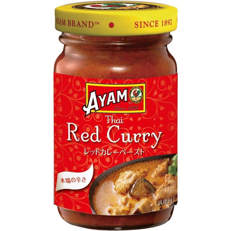 AYAM(アヤム) レッドカレー ペースト 100g (添加物不使用 ハラル認証取得)