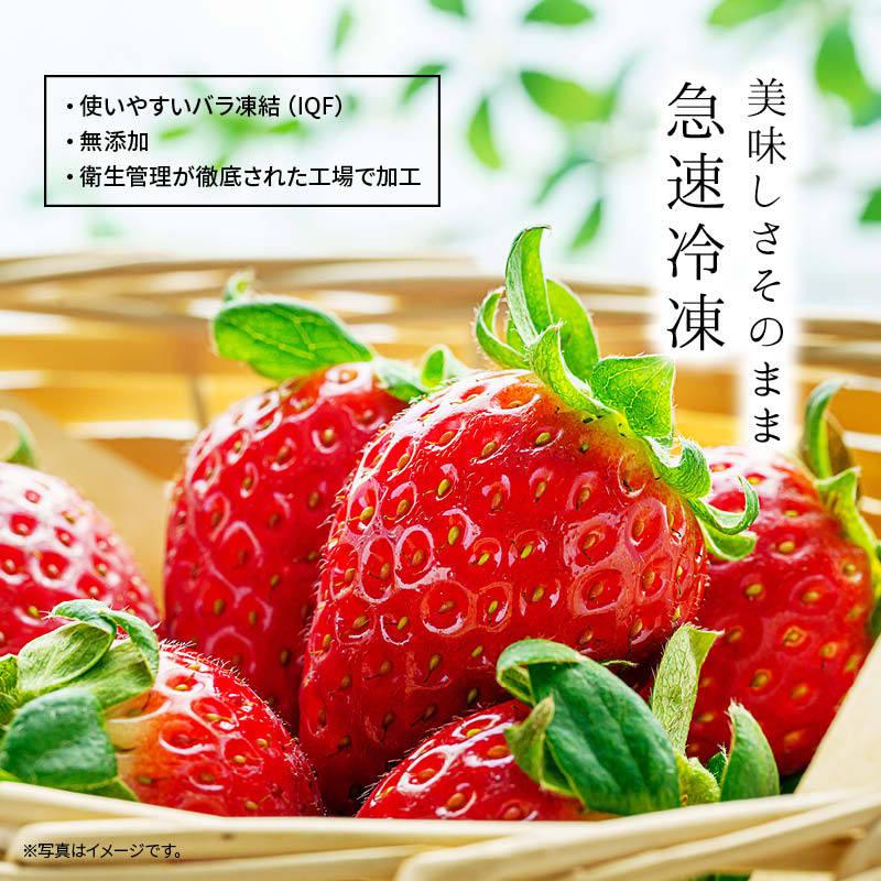 国産 福岡県産 イチゴ (あまおう) 冷凍 1kg(1000g) x 3袋 いちご 苺 甘王 アマオウ 無添加 果実 フルーツ