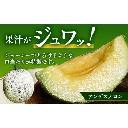 ふるさと納税 熊本県 多良木町 熊本県産 ホームランメロン アンデスメロン 食べ比べ 計5玉 約5kg【 令和6年 先行 御予…