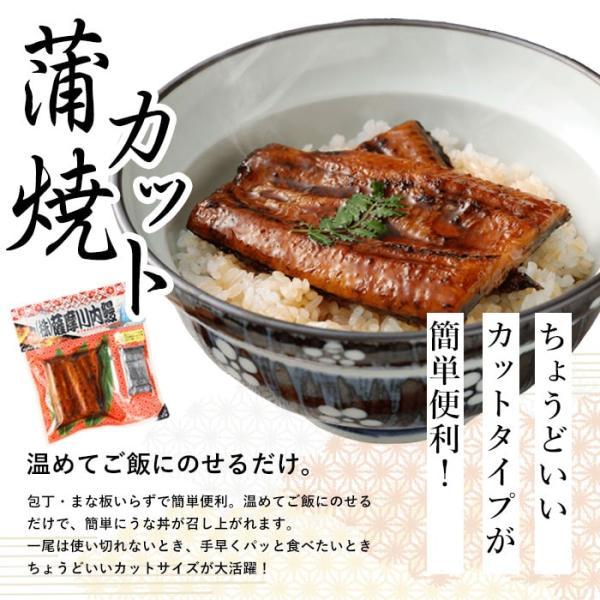 国産 うなぎ蒲焼き 3種 詰め合わせ 蒲焼き ハーフサイズ きざみうなぎ 蒲焼きセット 特大サイズ 鹿児島県産 鰻 うなぎ ひつまぶし 鰻めし うな重 うな丼