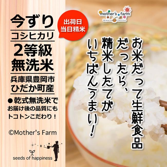 新米 無洗米 10kg コシヒカリ 白米 今ずり米 特別栽培米 令和5年産 兵庫県 但馬産 送料無料