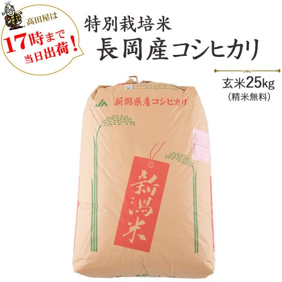 令和５年産　2等米　お米25kg  特別栽培米 長岡産コシヒカリ 玄米25kg   白米4.5kg×5袋 当日発送　※送料無料(一部地域を除く)