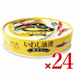 信田缶詰 国産いわし油漬唐辛子入り 100g × 24缶 ケース販売