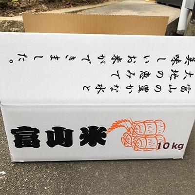 ふるさと納税 魚津市 富山県魚津産コシヒカリ10kg(こだわり栽培)