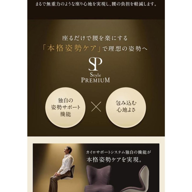 Style PREMIUM スタイル プレミアムボディメイクシート 座椅子