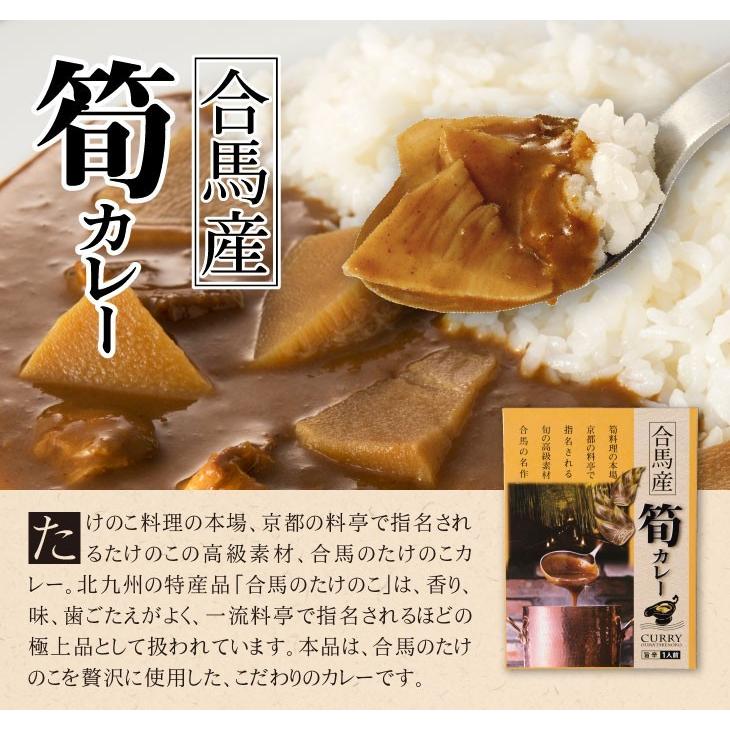 産地直送九州お取り寄せ 九州産 合馬産 たけのこ 筍カレー ご当地カレー レトルト 送料無料