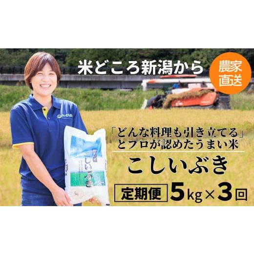 ふるさと納税 新潟県 糸魚川市 令和5年産新米プロが認めたうまい米『こしいぶき』定期便5kg×3ヶ月お届け 新潟県糸魚川産 農家直送 おいしいお米を…