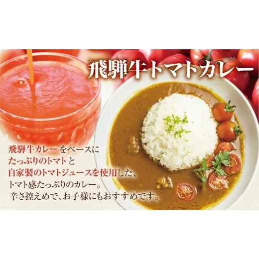 ふるさと納税 岐阜県 高山市 飛騨牛カレー (3袋) 飛騨牛トマトカレー (2袋)  計5食   簡易包装 ビーフカレー 飛騨牛 トマト カレー レトルトカレー…