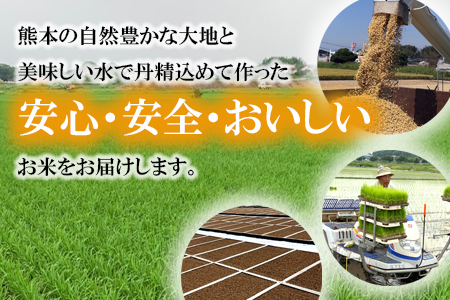 令和5年産 ヒノヒカリ 10kg 株式会社羽根《60日以内に順次出荷(土日祝除く)》熊本県産 白米 精米 ひのひかり 米