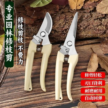 🔥下殺優質好物🔥園藝剪修枝剪手工花藝剪子果樹枝條剪修花卉剪刀專用工具修枝神器 TFNG