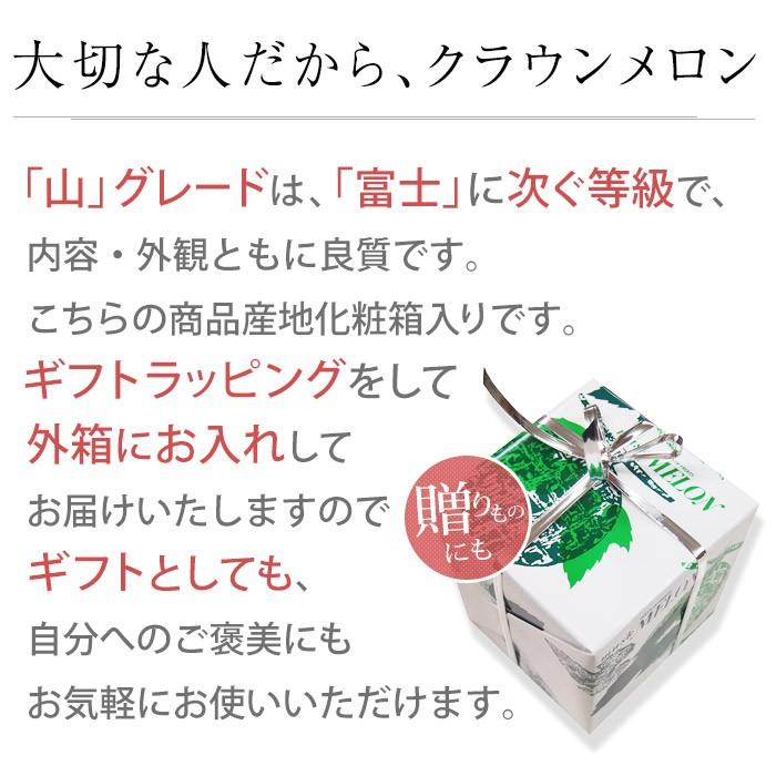 メロン 静岡県産 クラウンメロン 1個 等級：山 1.3kg以上 化粧箱入