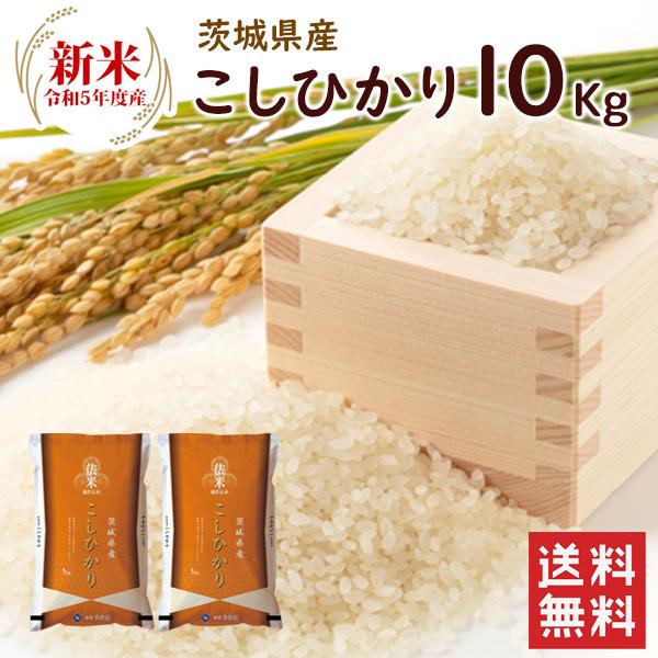 新米 茨城県産 コシヒカリ 10kg（5kg×2袋）  送料無料 令和5年産 こしひかり コシヒカリ 精米 お米 10kg（北海道・沖縄別途送料）（配達日・時間指定は不可）