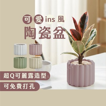 [出清賠錢價] 陶瓷盆 花盆 盆器 陶瓷盆經典白 陶瓷盆玫瑰粉 陶瓷盆抹茶綠 陶瓷盆鵝蛋黃 有孔陶瓷盆 ins風盆器