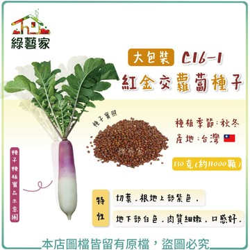 【綠藝家】大包裝C16-1.紅金交蘿蔔種子130克(11000顆) // 切葉。根地上部紫色，地下部白色。