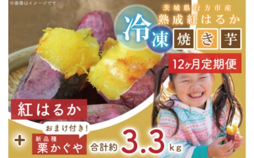 EY-21　茨城県行方市産熟成紅はるかの冷凍焼き芋約3キロ！おまけ付!!合計約3.3キロ!!!