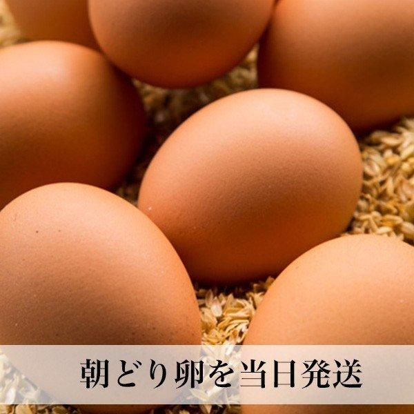 朝どり卵 30個入 Lサイズ 赤玉 福岡産 タマゴ