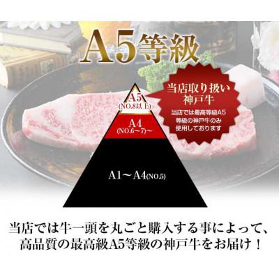 ふるさと納税 神戸市 焼肉おまかせセット 500g(霜降り・赤身・カルビ