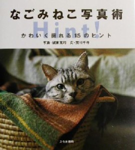  なごみねこ写真術 かわいく撮れる１５のヒント／荒川千尋(著者),板東寛司