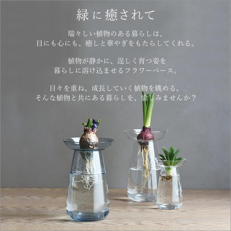 球根 水栽培 アクアカルチャーベース AQUA CULTURE VASE Lサイズ 120mm kinto キントー 花瓶 ガラス フラワーベース  ヒヤシンス おしゃれ ギフト クッチーナ | LINEショッピング