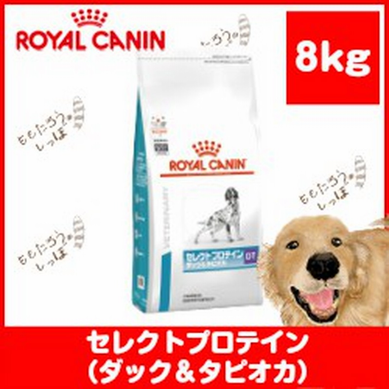 ロイヤルカナン 犬用 セレクトプロテイン ダック タピオカ ８kg ドライ ドッグ フード 療法食 通販 Lineポイント最大1 0 Get Lineショッピング