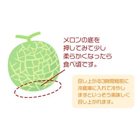 ふるさと納税 令和6年産 メロン好きのメロン定期便　３回お届け　山形県鶴岡産　元青果 山形県鶴岡市