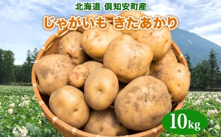 北海道産 じゃがいも きたあかり 約10kg 芋 ジャガイモ いも 自然 旬 新鮮 野菜 直送 常温 農作物 お取り寄せ 野菜 ポテト 農作物 お取り寄せ 送料無料 縁樹 北海道 倶知安町