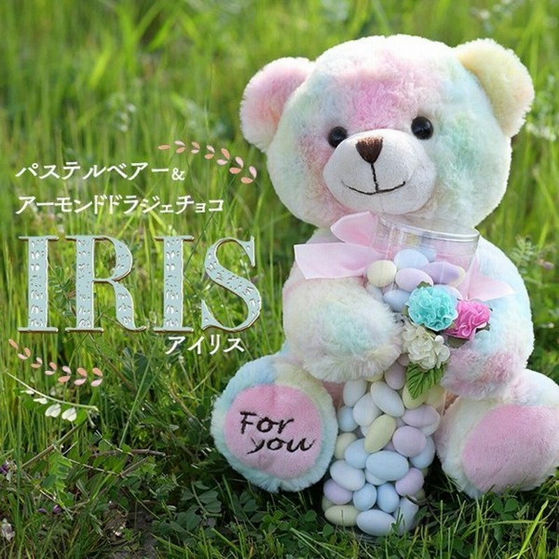 母の日 22 お菓子 子供 高級 ギフト のし プレゼント メッセージ ぬいぐるみ パステルベアー ドラジェ Iris おしゃれ 熊 通販 Lineポイント最大0 5 Get Lineショッピング