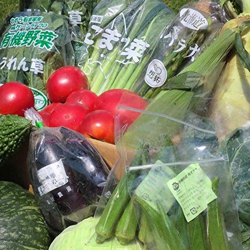 むつみ屋 旬の無農薬野菜セット 11品