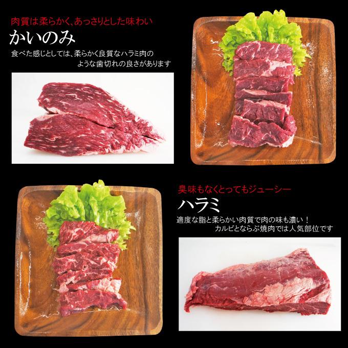 お中元 夏ギフト プレゼント送料無料 嬉しいプレゼントにも牛肉焼肉カルビ食べ比べ５点盛り合わせ　2セット同時購入で肉500ｇ増量中　サーロイン霜降り