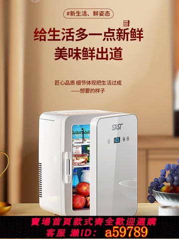 【台灣公司 可打統編】SAST迷你小冰箱冷凍冷藏保鮮家用租房宿舍辦公室母乳小型車載冰柜