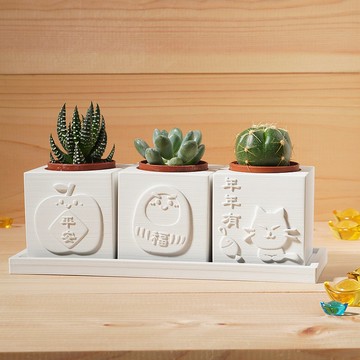 【客製化禮物】平安是福年年有餘 | 多肉植物水泥盆栽4件組 雷雕