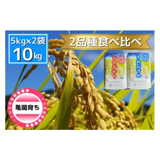 ふるさと納税 京都府 亀岡市 米 2品種 ヒノヒカリ・きぬむすめ 食べ比べ 5kg × 2袋 10kg 施肥技術指導員監修《新米 令和5年産》SDGs未来都市亀岡※着日指定不…