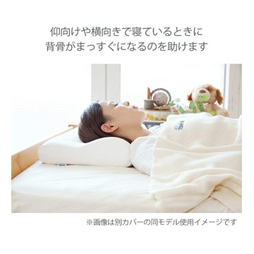 【日本出貨丨火箭出貨】HA Warp Sheet 透明質酸精華 易吸收 日本製 20枚入