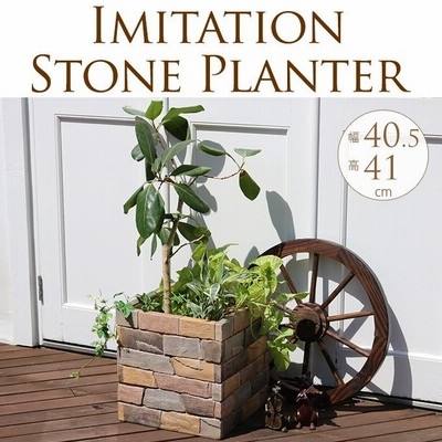 屋外大きい植木の通販 70件の検索結果 Lineショッピング