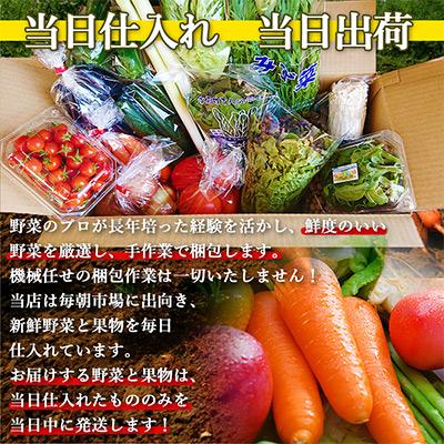 ふるさと納税 時津町 厳選野菜セット 果物付き 15品目 詰め合わせ (時津町)全4回