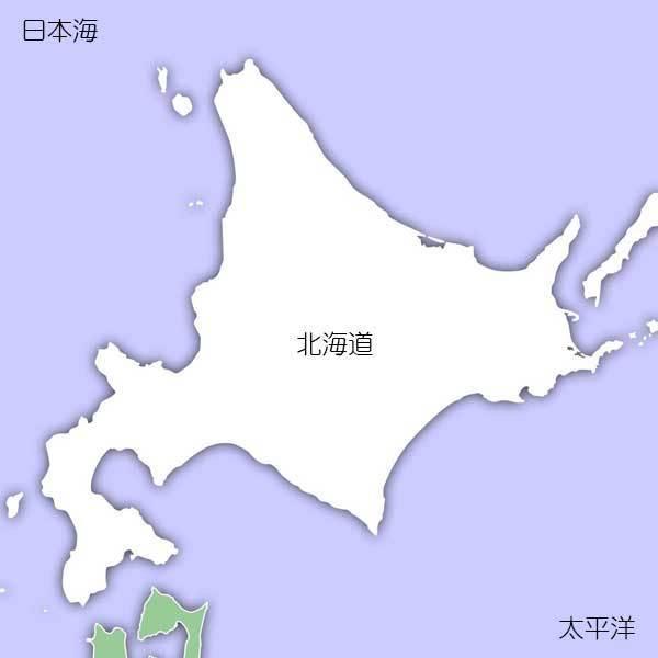 [新米 令和5年産] 無洗米 北海道産 ゆめぴりか 20kg (5kg×4袋) ピロータイプ平袋入 日本全国銘米シリーズ 白米 お米 おいしい 堀商店 ギフト対応 送料無料