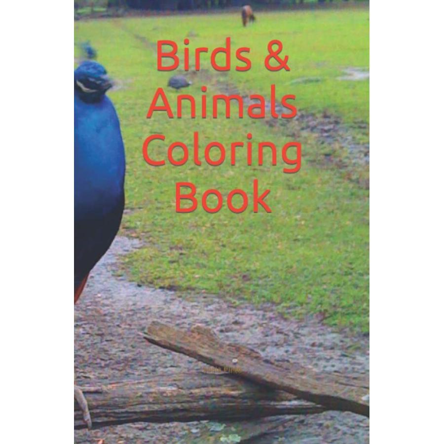 Birds  Animals Coloring Book