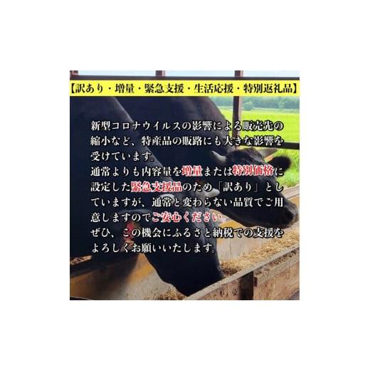 ふるさと納税 京都府 亀岡市 「京都いづつ屋厳選」亀岡牛 切り落とし 600g ≪訳あり コロナ支援 和牛 牛肉 冷凍≫