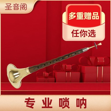 树脂唢呐专业乐器全套初学者成人儿童入门D调大中小号吹奏喇叭