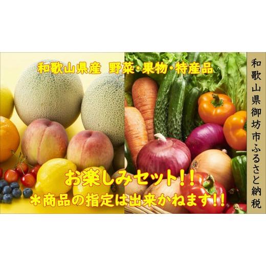 ふるさと納税 和歌山県 御坊市 季節の野菜・果物・特産品お楽しみ詰め合わせセット(2)