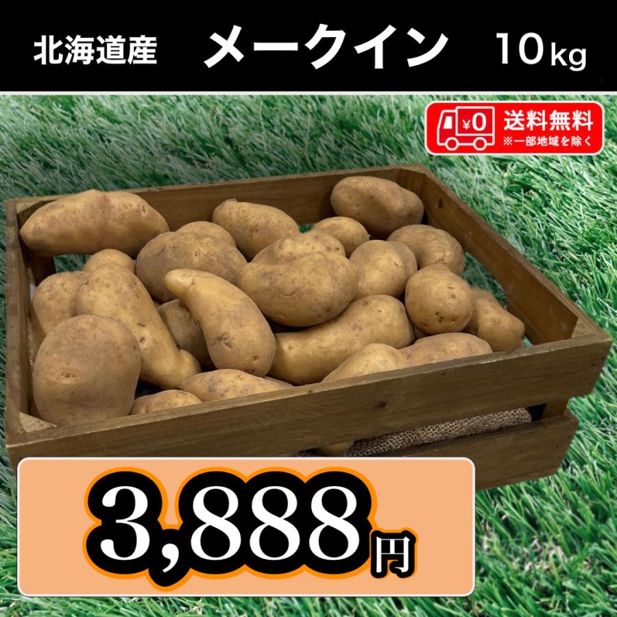 送料無料 北海道産 メークイン Mサイズ 10kg じゃがいも 馬鈴薯