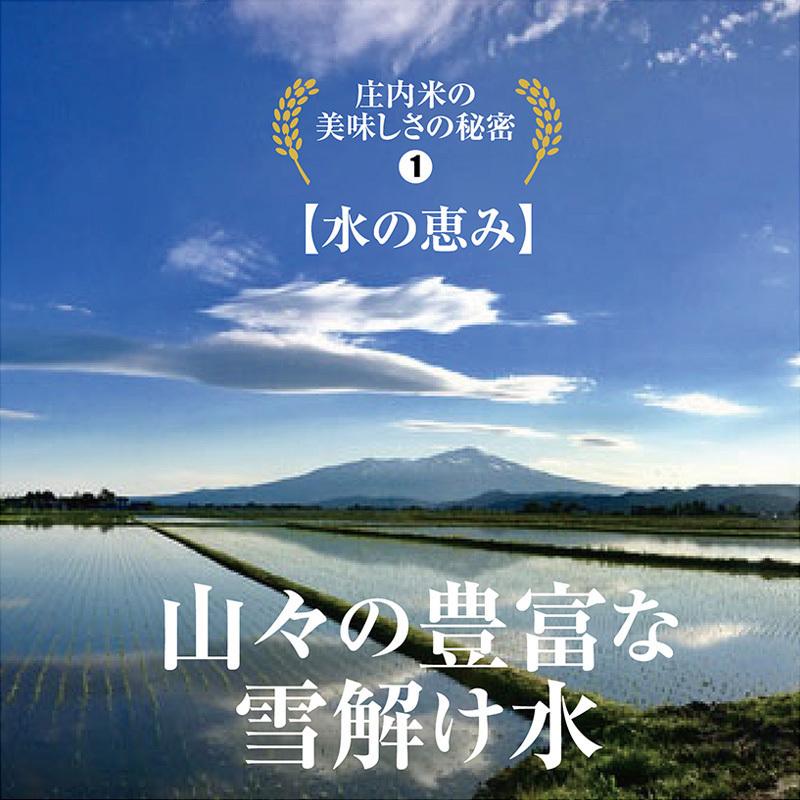 令和５年産 つや姫８kg（２kg×４袋） 山形県の米どころ庄内平野で育った庄内米 送料無料